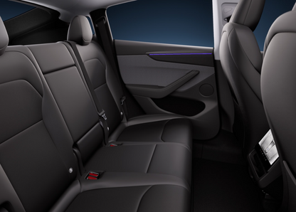 Tesla Model Y Legacy Performance